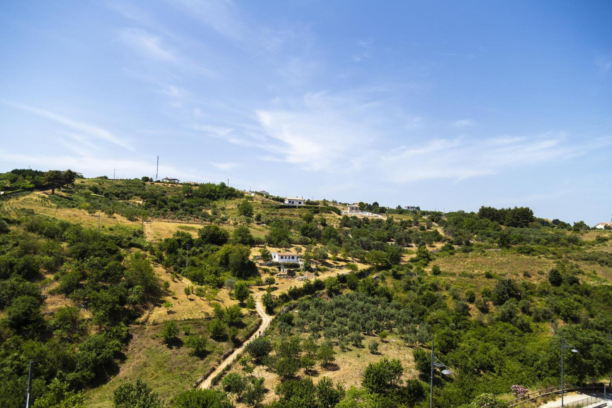 Il Pieddo Appartement Vico Del Gargano Buitenkant foto